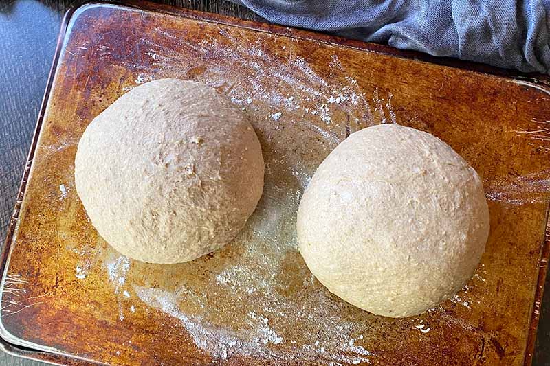 Horizontal image of two floured and rounded pieces of dough on a baking sheet.