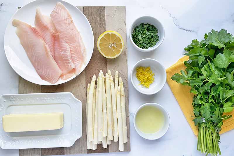 Horizontal image of assorted ingredients, fish fillets, and vegetables.