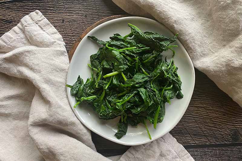 Horizontal image of cooked spinach on a plate.
