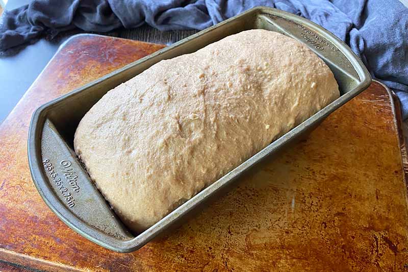 Horizontal image of proofing bread dough in a loaf pan.