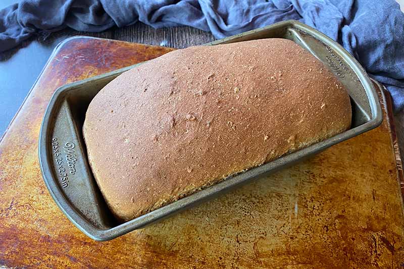 Horizontal image of a baked dark brown loaf in a loaf pan.