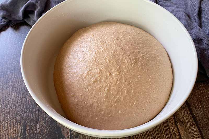 Horizontal image of proofing light brown dough in a large bowl.