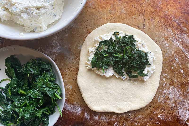 Horizontal image of layers of ricotta and spinach on a flattened disc of dough.