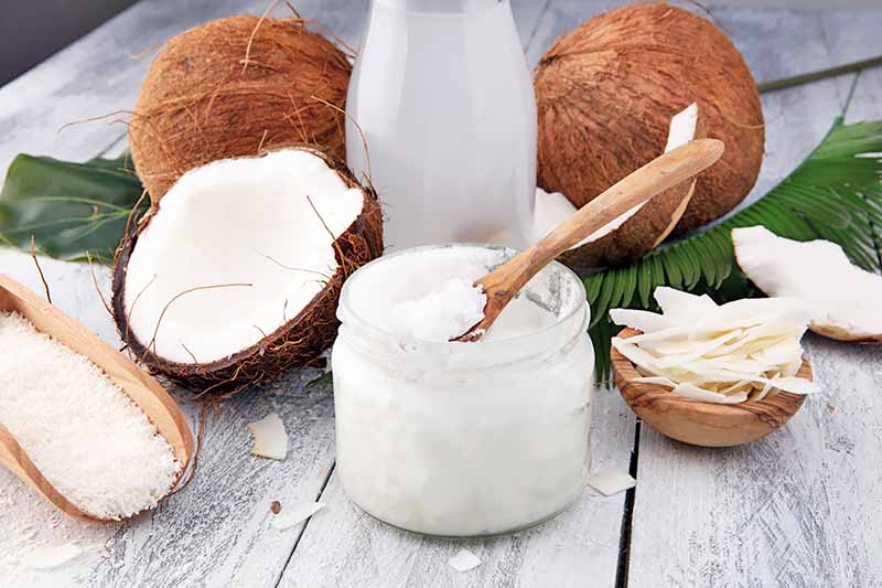 Horizontal image of various coconut formats on a wooden white table.