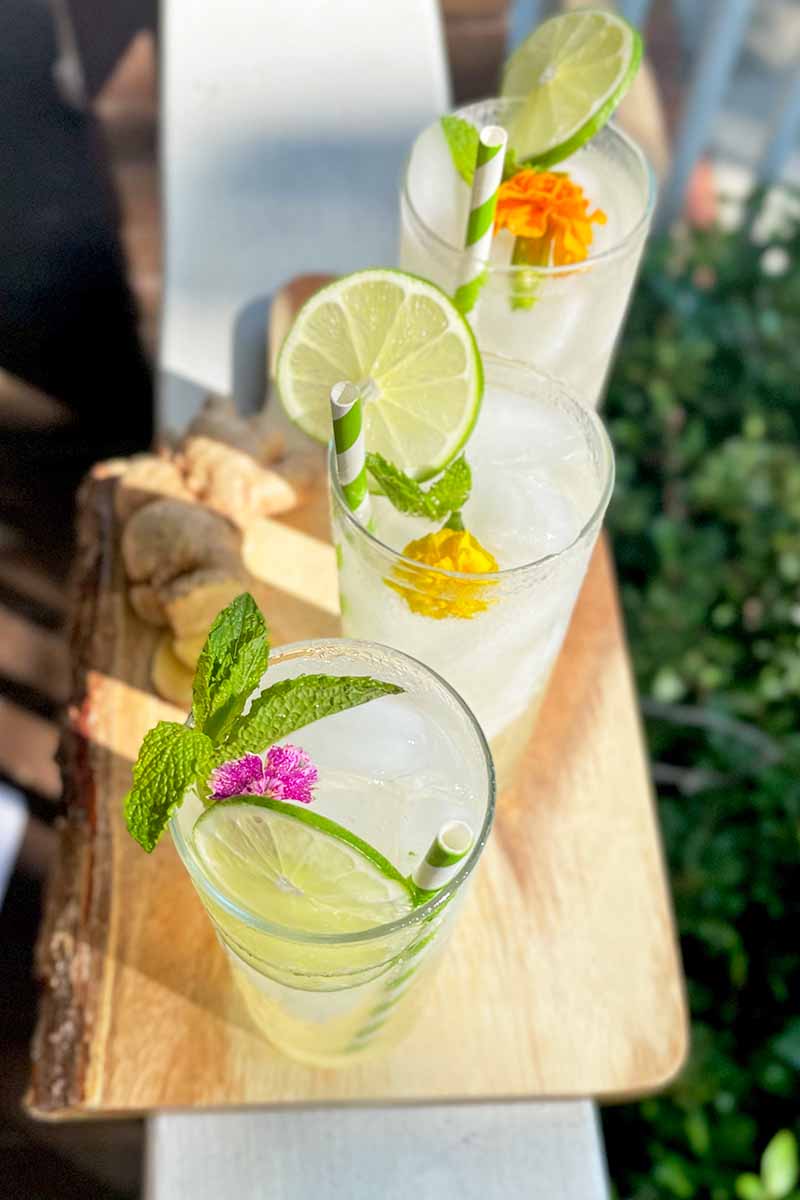 Vertical image of three glasses filled with a light drink with a straw, with fresh herb, limes, and floral garnishes.