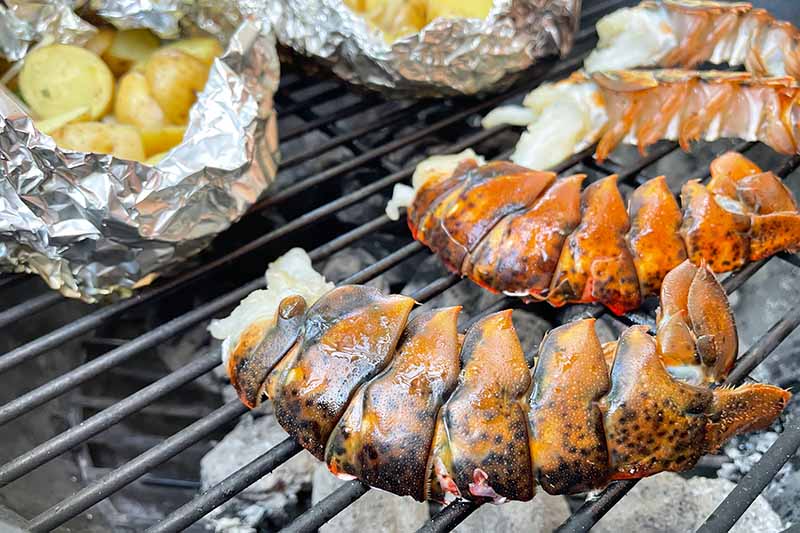 Horizontal image of grilling shell-on seafood and vegetables in foil packages on the grill.
