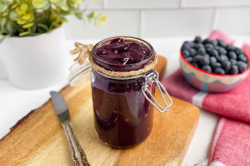 Horizontal image of a jar of dark purple fruit spread on a wooden cutting board next to a bowl of fruit and a plant.