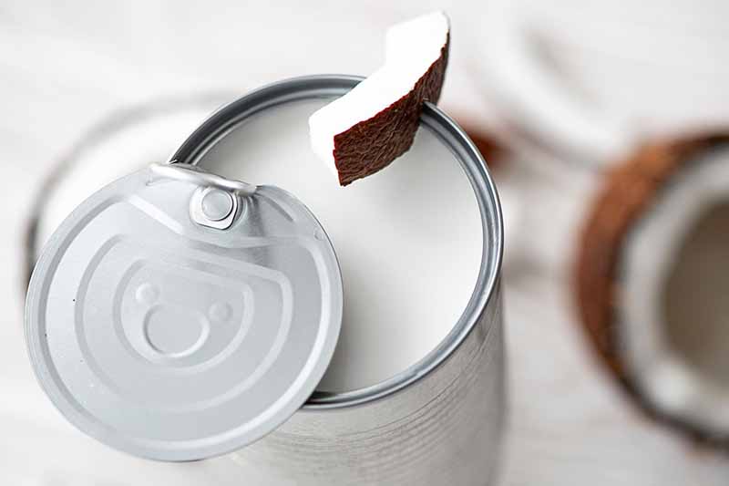 Horizontal image of a can of thick white liquid half opened with shards of white fruit with a brown rind.