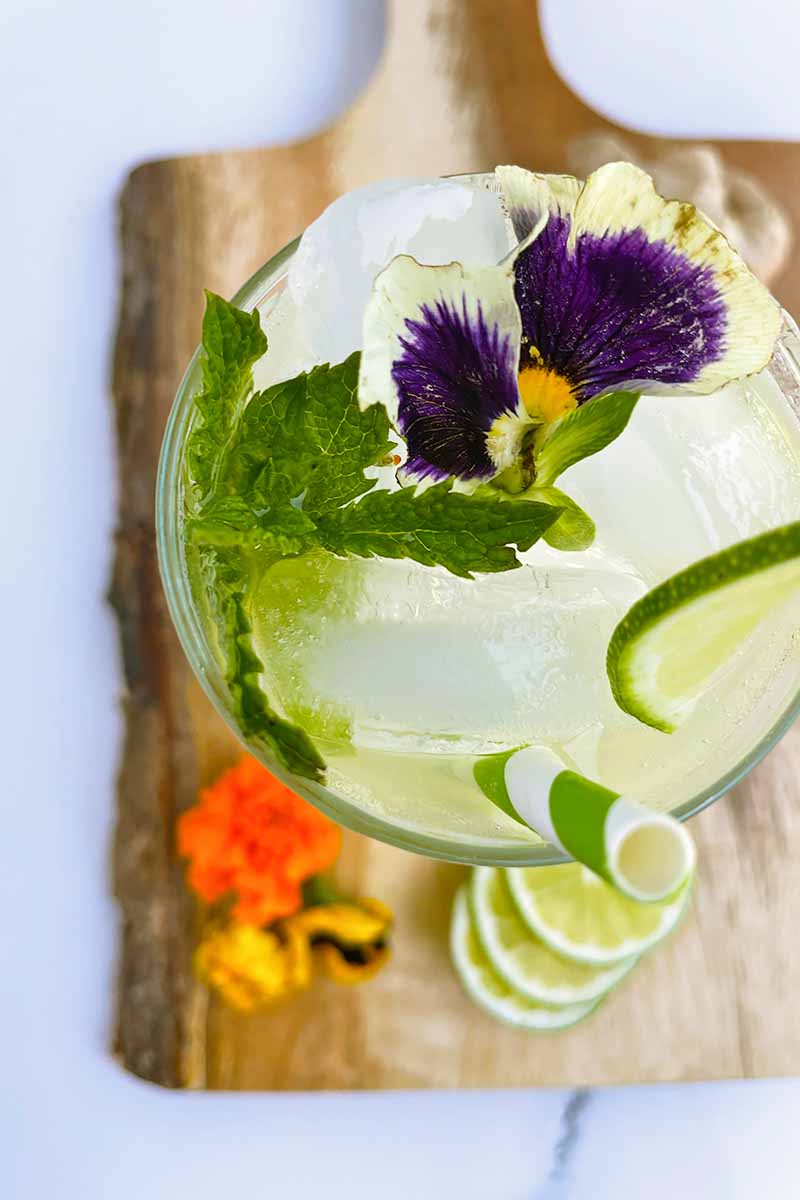 Vertical top-down image of the fresh garnishes in a drink over a wooden cutting board.