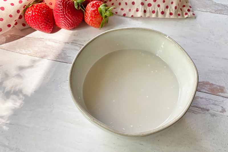 Horizontal image of a slurry in a white bowl.