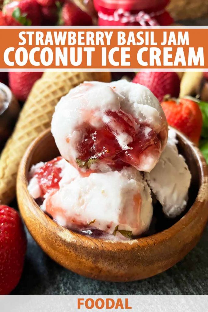 Vertical image of a wooden bowl topped with scoopfuls of a rich dessert in front of sugar cones, with text on the top and bottom of the image.