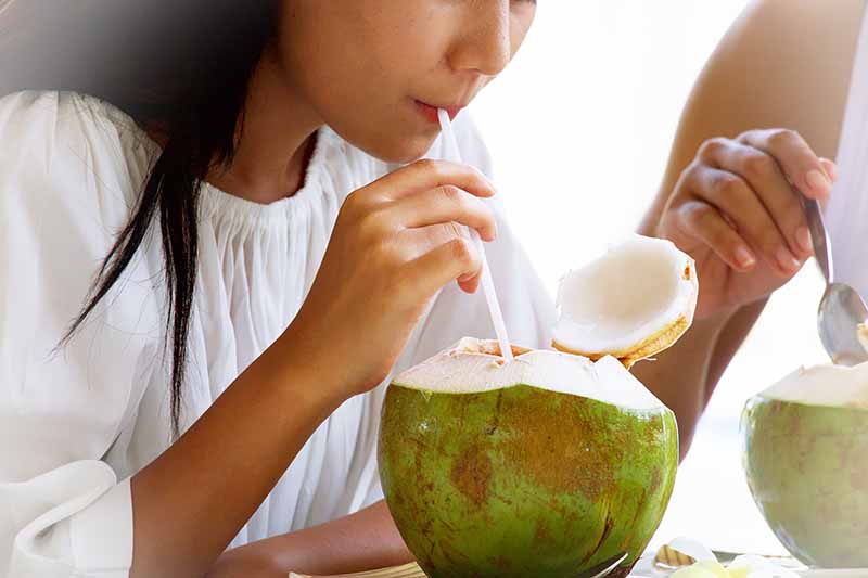 Horizontal image of a woman drinking water from a young circular piece of fruit out of a straw