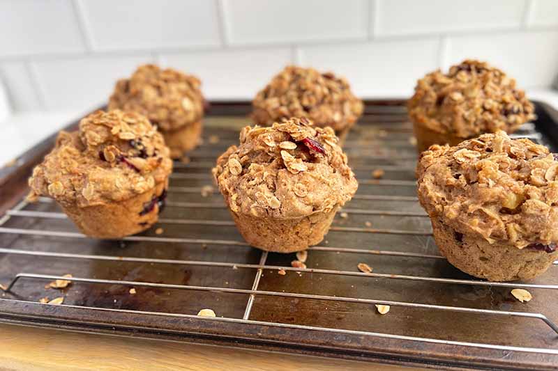 Horizontal image of two rows of streusel-topped muffins on a cooling rack on a baking pan.