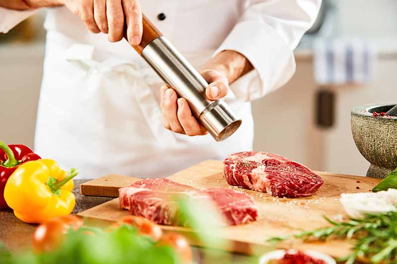 Horizontal image of a chef seasoning a piece of raw meat surrounded by other fresh ingredients.