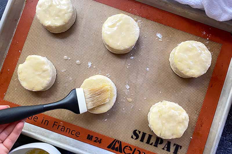 Horizontal image of brushing oil on top of circular rounds of unbaked dough.