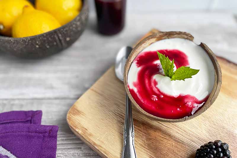 Horizontal image of a dark purple sauce on top of a bowl of yogurt garnished with mint, on a wooden cutting board.