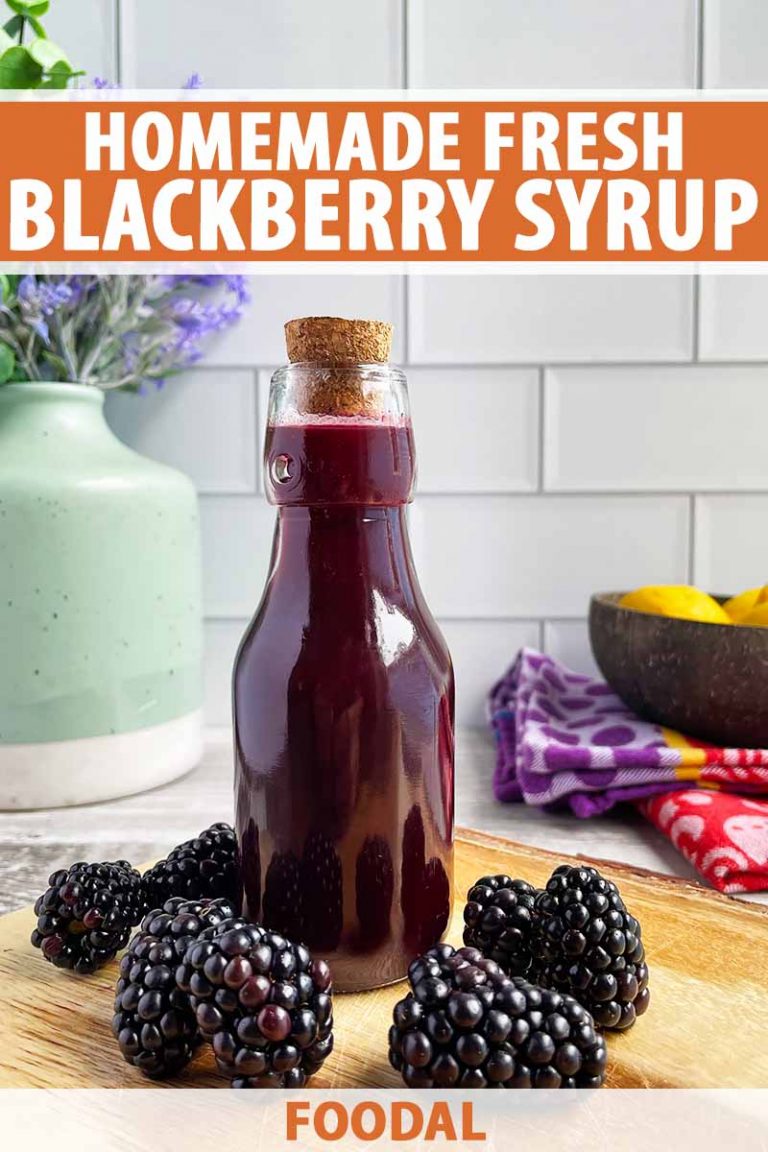 Blackberry Syrup Recipe | Foodal