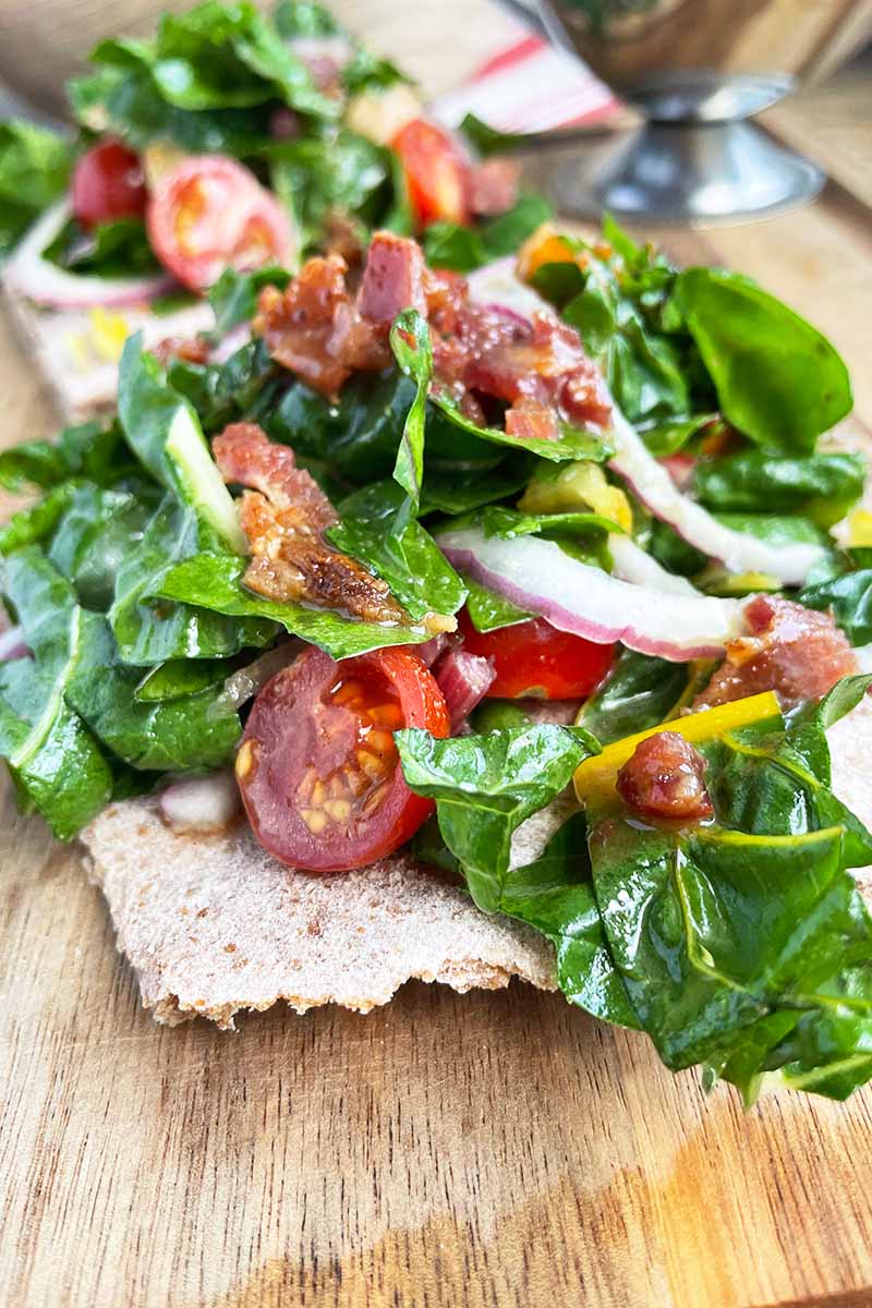 Vertical close-up image of mixed salad greens with tomatoes and onions on toast.