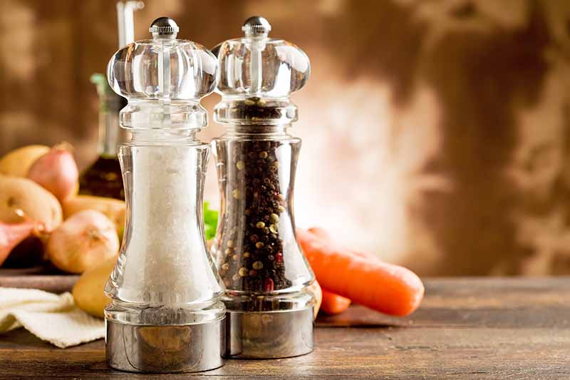 https://foodal.com/wp-content/uploads/2022/07/The-Best-Salt-and-Pepper-Mills-7-Top-Picks-Reviewed.jpg