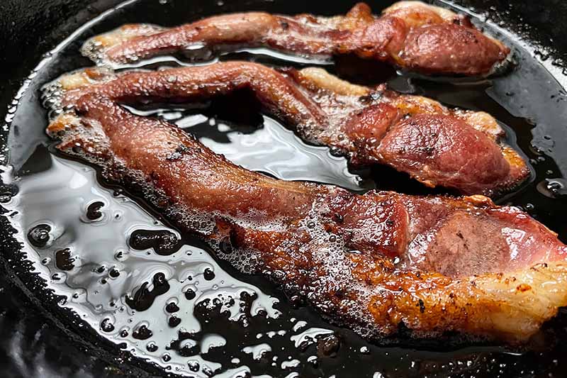 Horizontal image of cooking bacon strips in a skillet.
