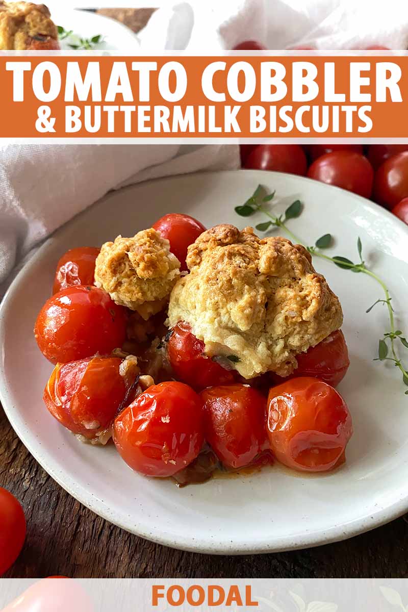 Vertical image of cooked whole cherry tomatoes underneath a drop biscuit on a plate with herbs, with text on the top and bottom of the image.