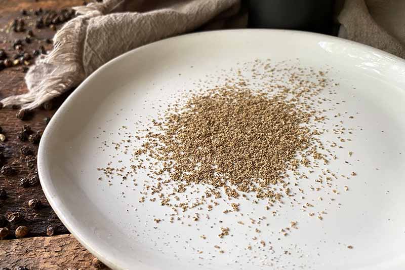 Horizontal image of a finely ground spice on a white plate.