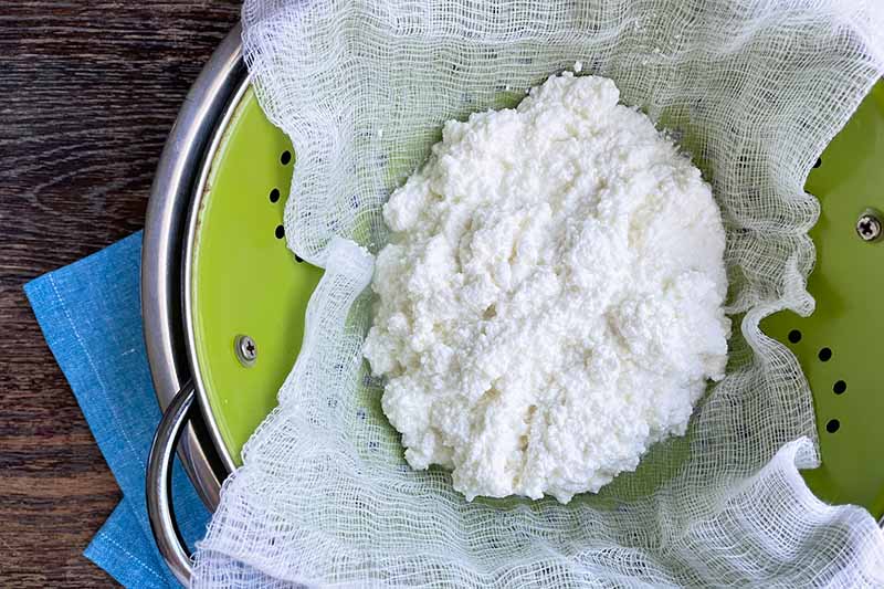 Horizontal image of straining curds in a white cloth over a colander.