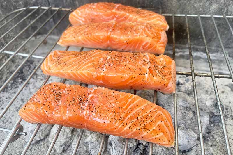 Horizontal image of raw seasoned salmon fillets on a grill.