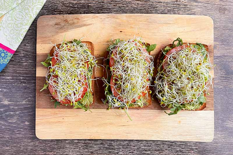Horizontal image of sprouts and other layers of veggies on toast on a wooden cutting board.