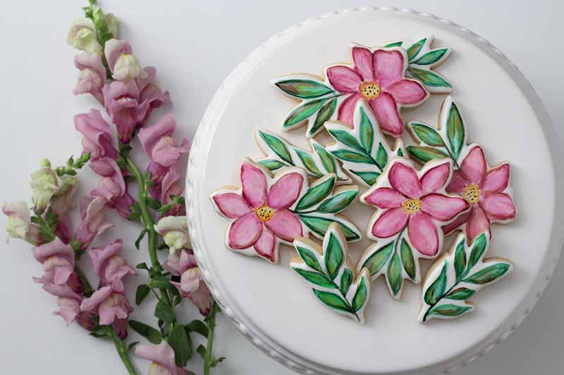Horizontal image of hand-painted floral desserts on a white cake stand.