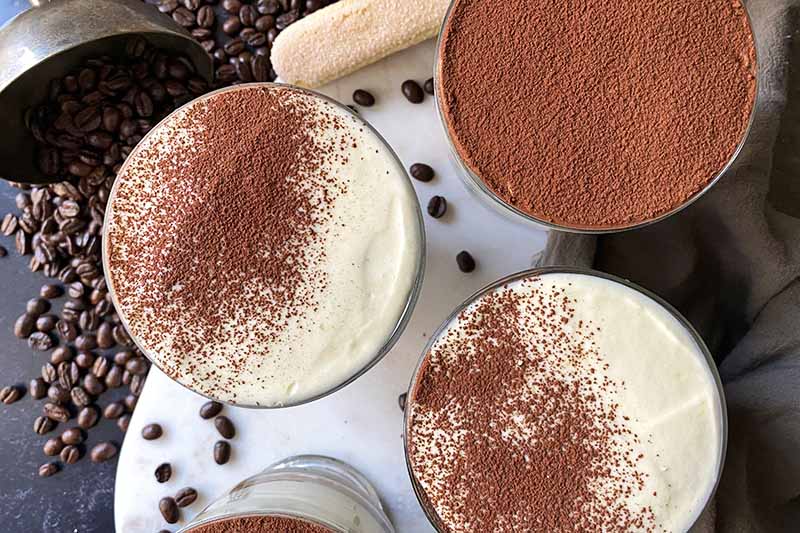 Horizontal top-down image of the tops of trifles garnished with cocoa powder.