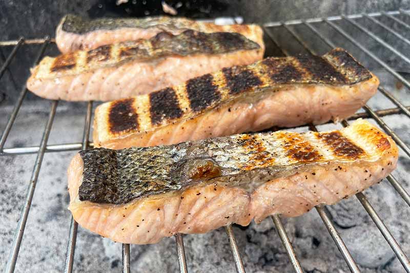 Horizontal image of cooked fish fillets with crispy skins on a grill.