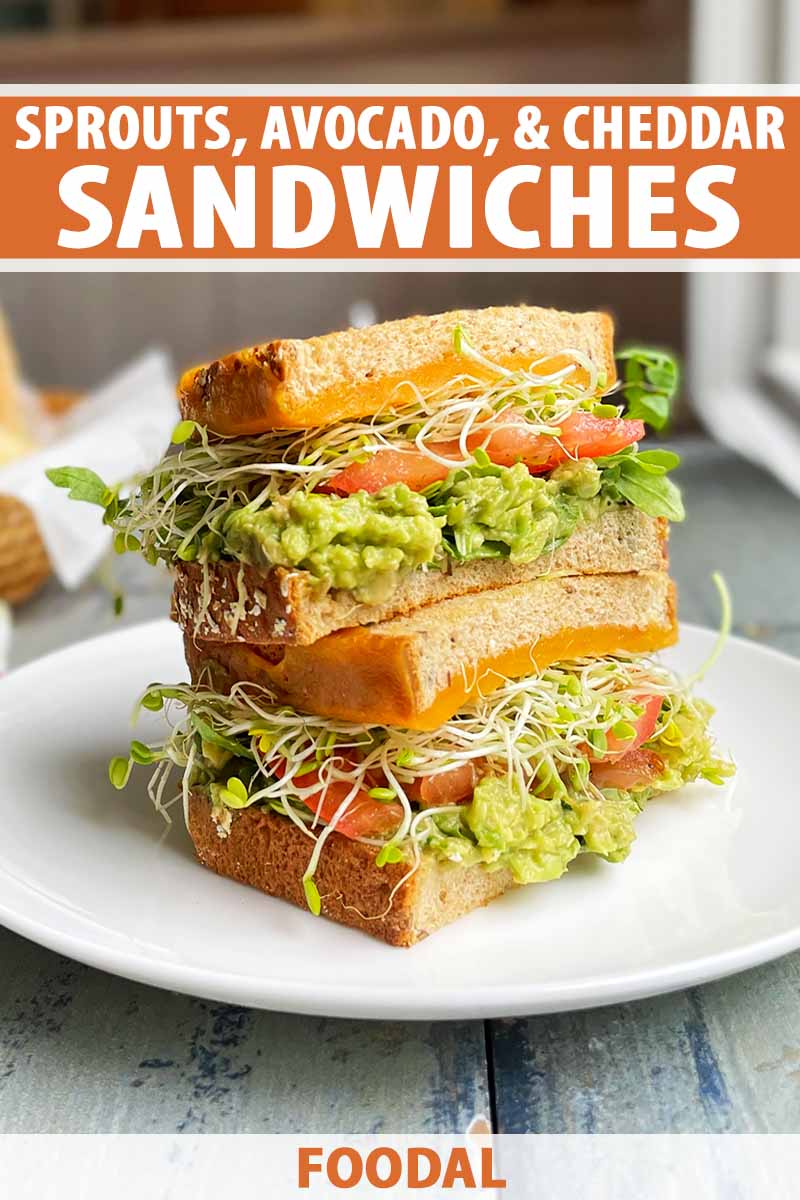 Vertical image of a stack of sandwiches with vegetarian ingredients on a white plate, with text on the top and bottom of the image.