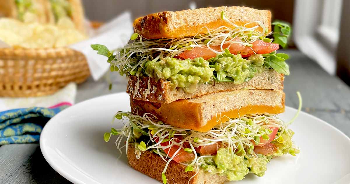 Sprouts, Avocado, and Cheddar Sandwiches Recipe | Foodal