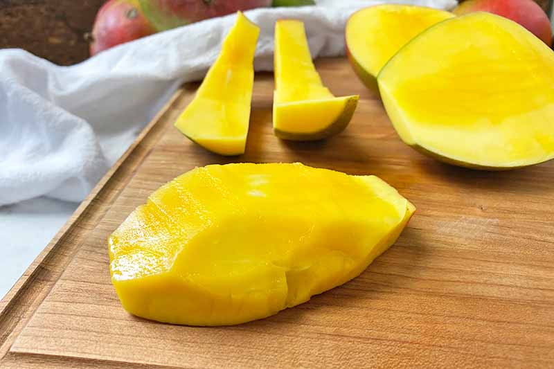 Horizontal image of the fleshy seed of a mango.
