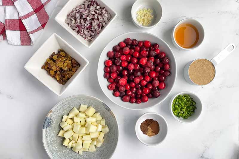 Horizontal image of measured and prepped ingredients for a cranberry chutney.