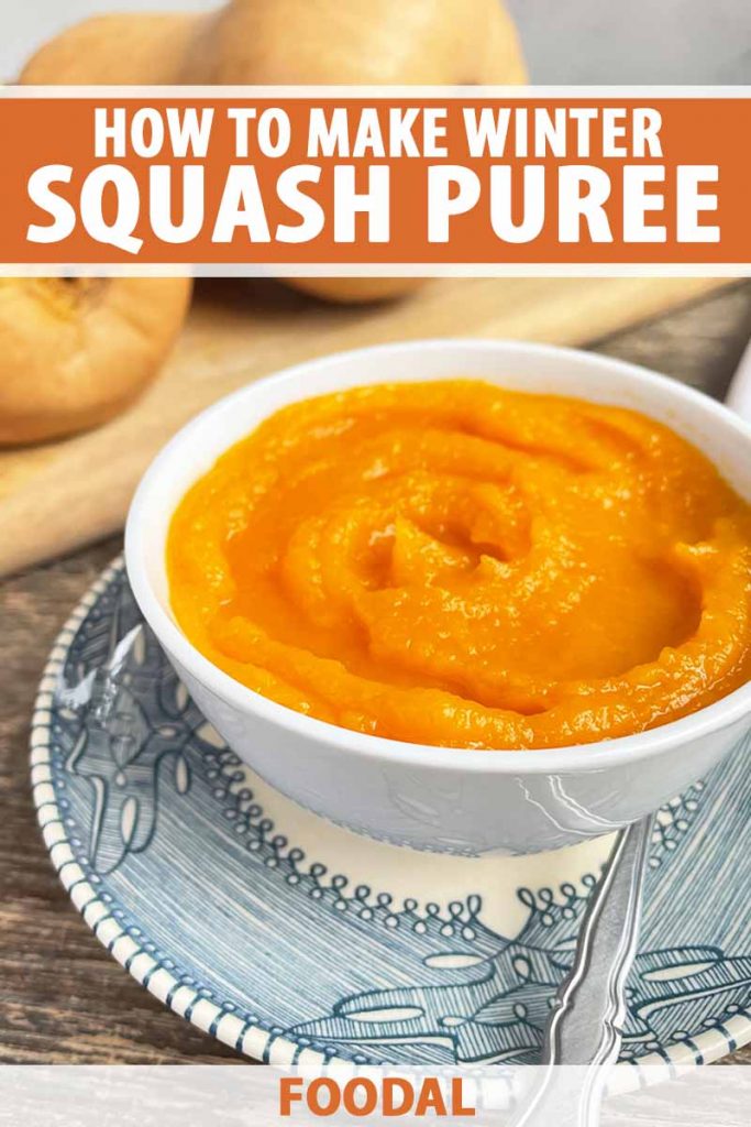 Vertical image of a white bowl filled with mashed butternut on a blue plate, with text on the top and bottom of the image.