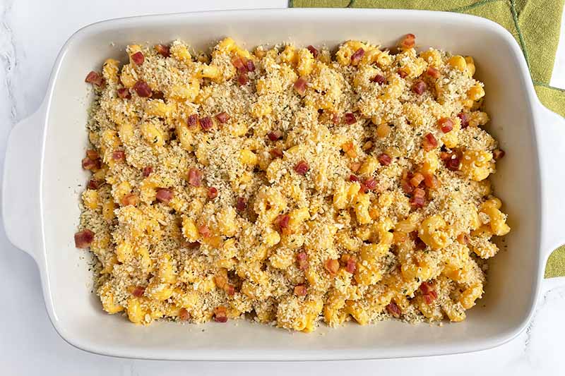 Horizontal image of an unbaked cavatappi casserole topped with breadcrumbs.