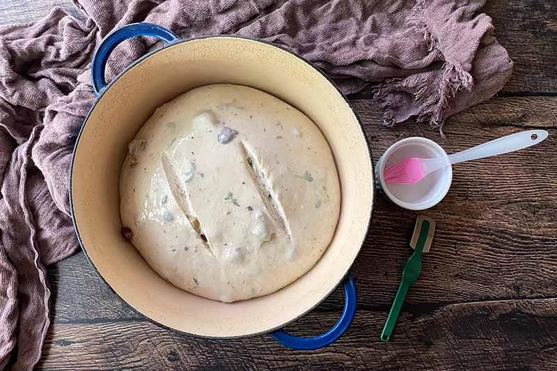 Horizontal image of a scored loaf of unbaked dough in a Dutch oven.