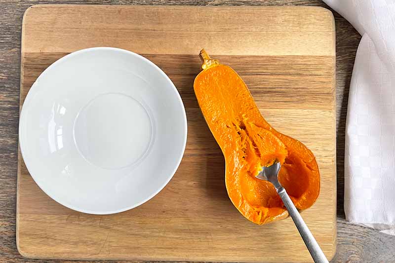 Horizontal image of removing the orange flesh from a roasted vegetable next to a white plate.
