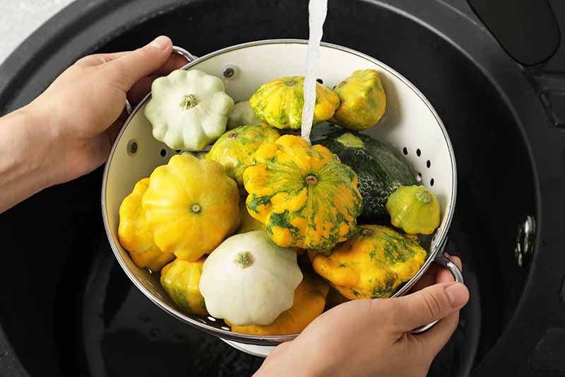 Horizontal image of washing assorted pattypans in a colander.
