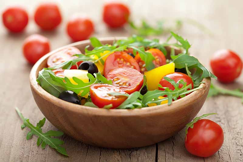 Horizontal image of a mix of fresh greens and tomatoes in a dish.