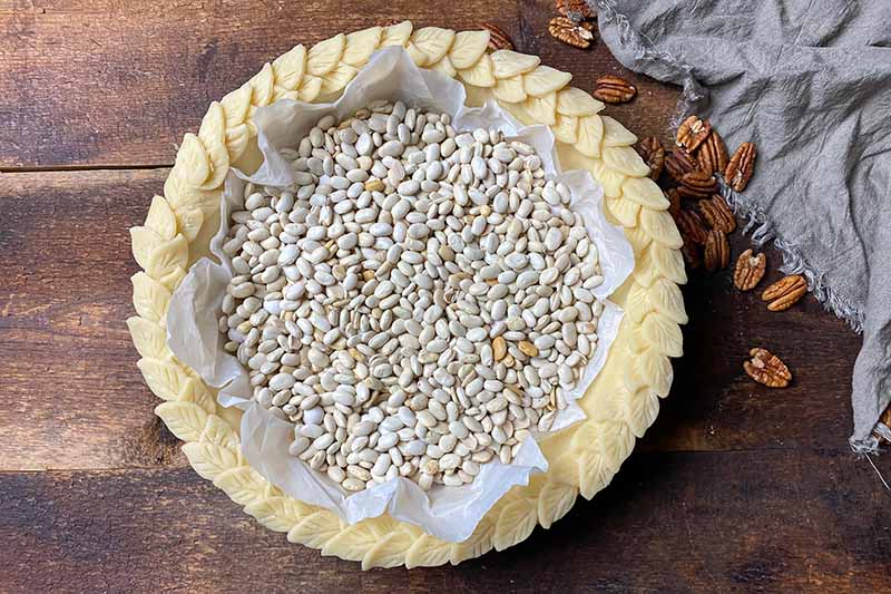 Horizontal image of dried beans in an unbaked crust.