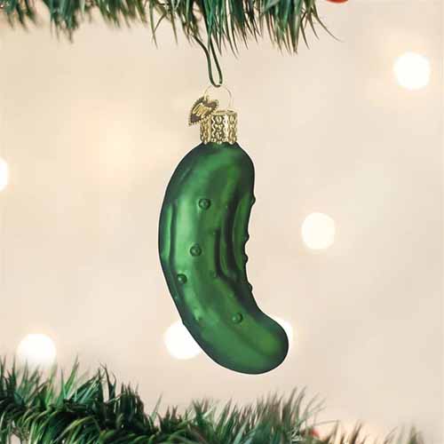 Image of a pickle ornament hanging from a Christmas tree.