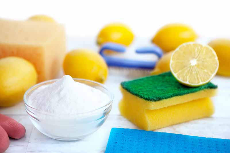 Image of a bowl of baking soda next to lemons, sponges, and kitchen gloves.