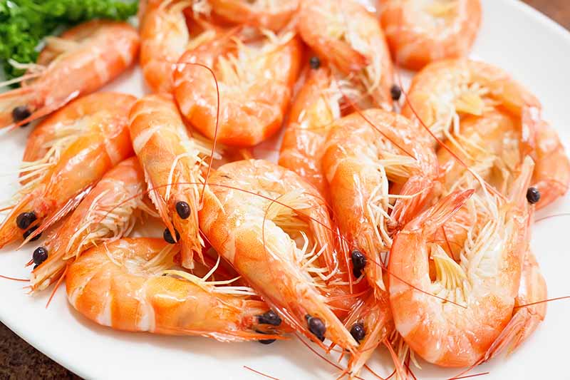 Horizontal image of a pile of boiled prawns on a plate.