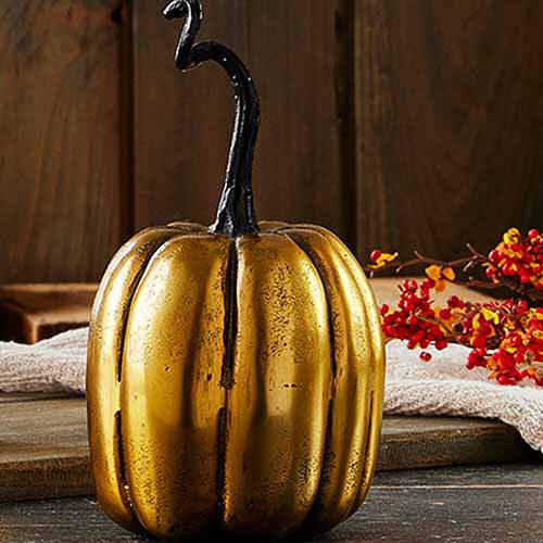 Image of a tall golden pumpkin on a wooden table.