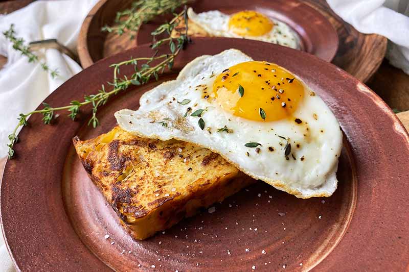 Horizontal image of fried eggs on top of pan-seared slices of a loaf on brown plates.
