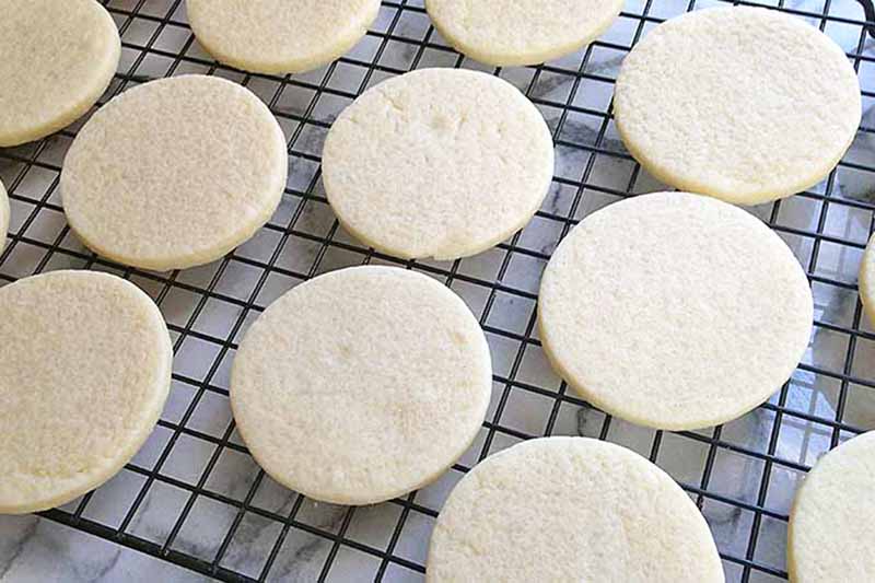 Horizontal image of rows of plain sugar cookies on a cooling rack.