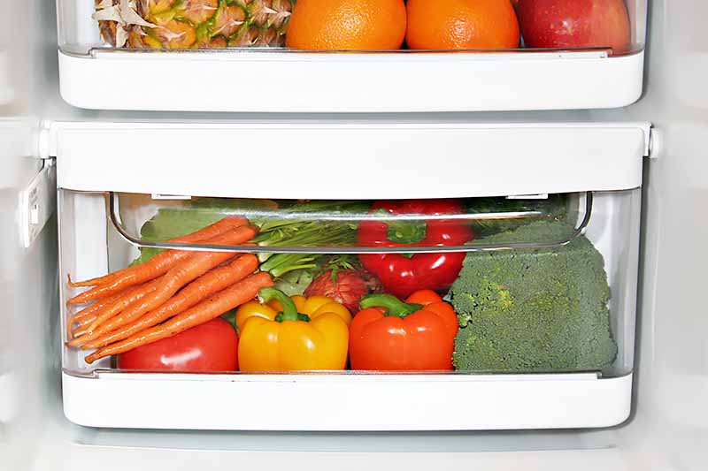 Horizontal image of bins in the fridge filled with assorted produce.